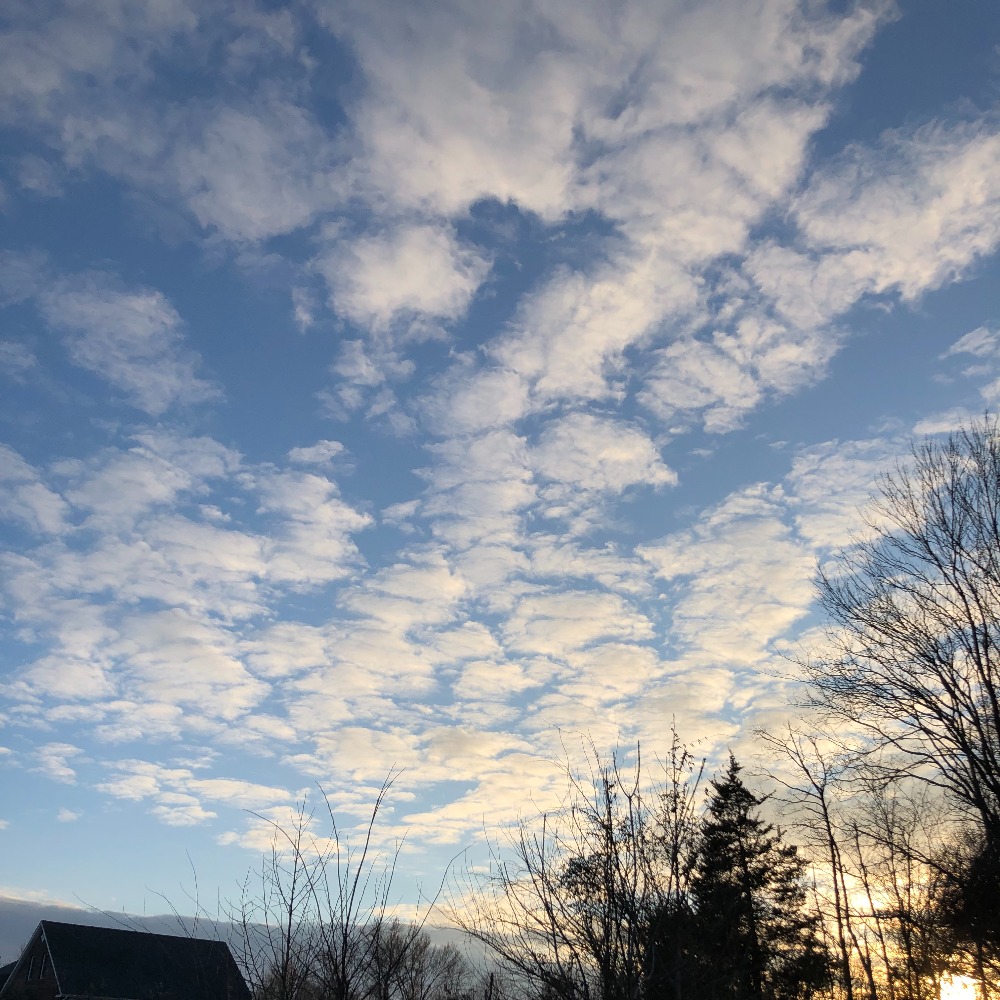 Meet your Posher, Alyvia